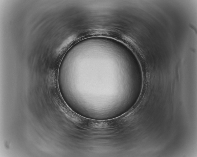 X0000102261403200808011354