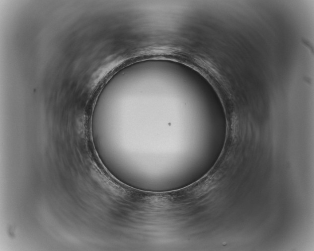 X0000102261404200808011354