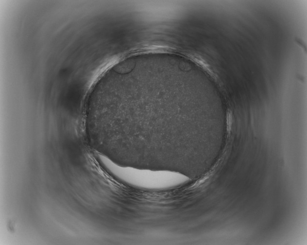 X0000102261405200808011354