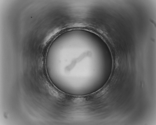 X0000102261406200808011354