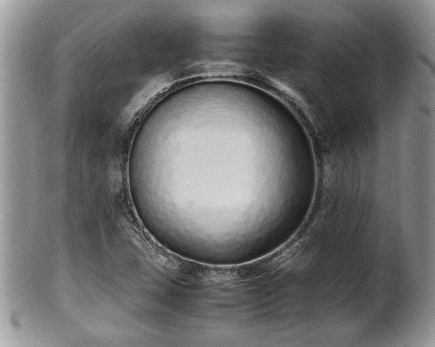 X0000102261407200808011354