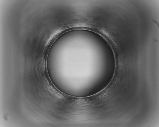 X0000102261408200808011354