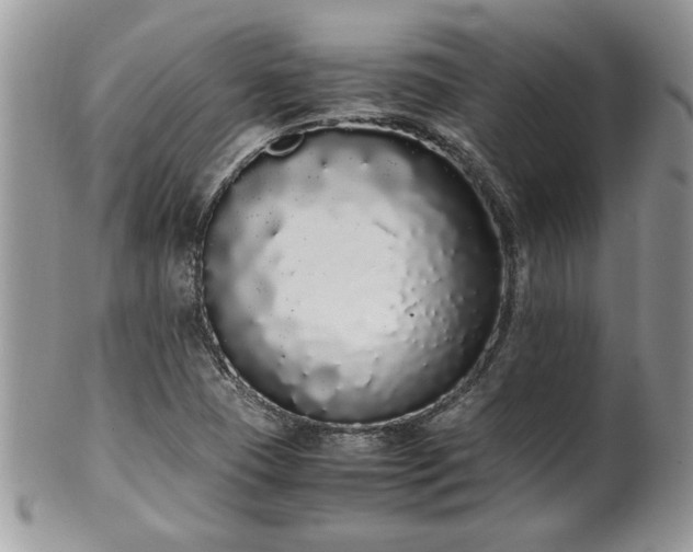 X0000102261409200808011354