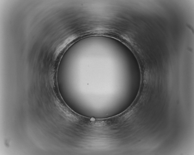 X0000102261410200808011354