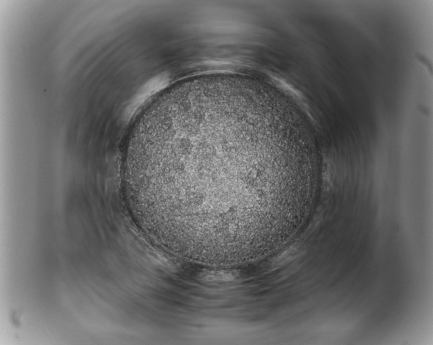 X0000102261411200808011354