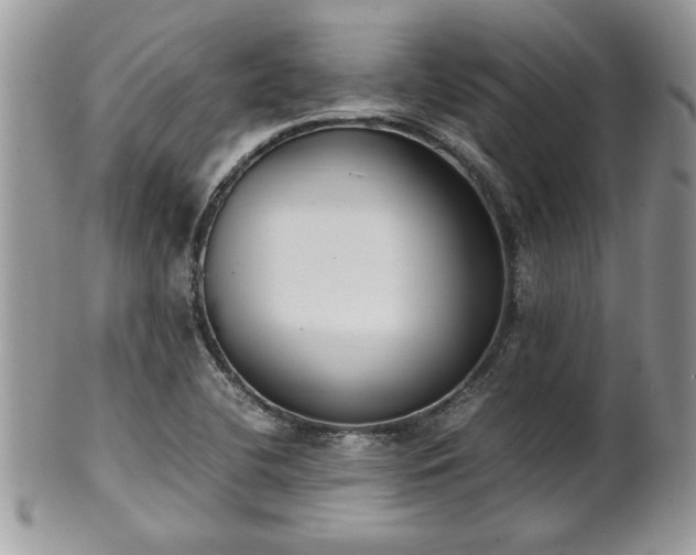 X0000102261412200808011354