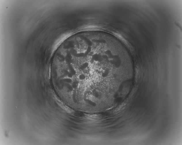 X0000102261413200808011354