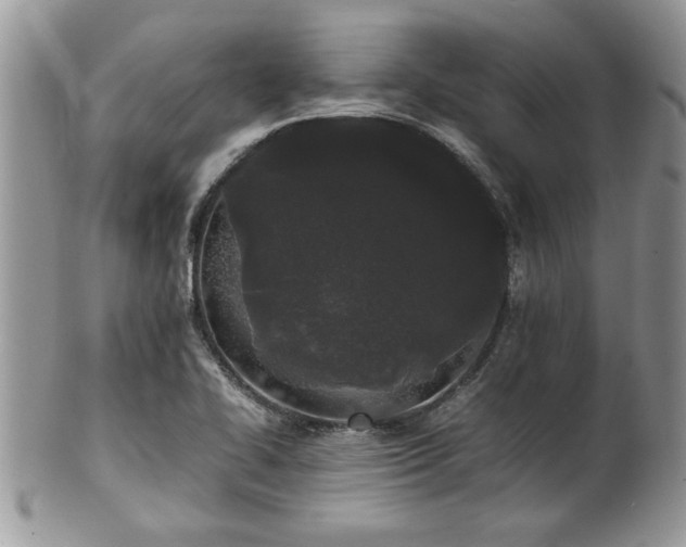 X0000102261414200808011354