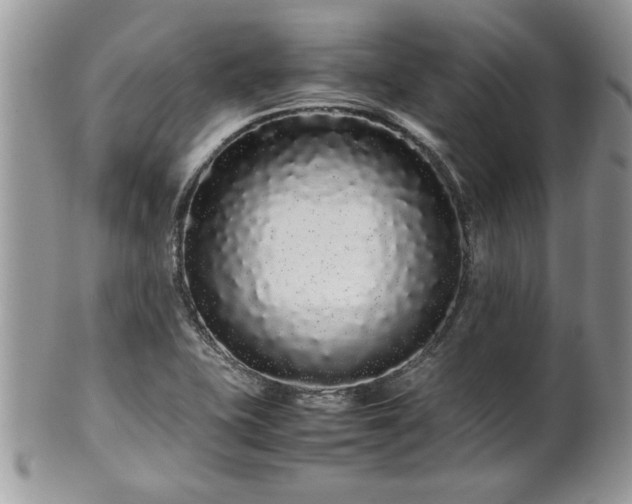 X0000102261415200808011354