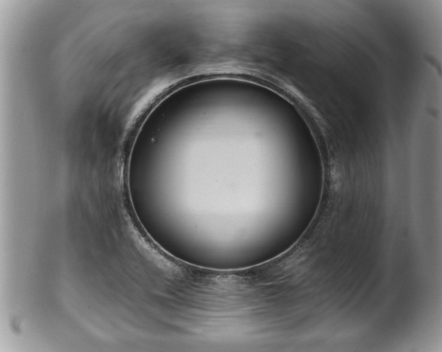 X0000102261416200808011354