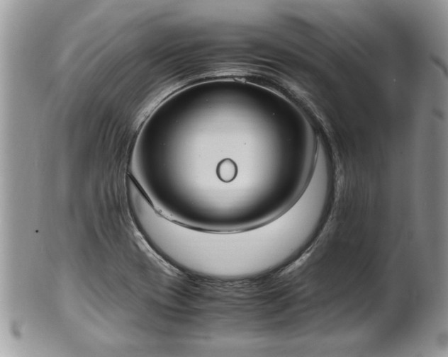 X0000102261417200808011354