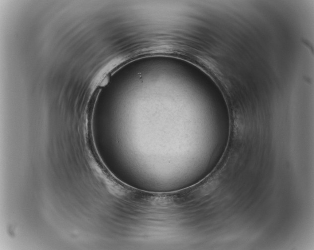 X0000102261418200808011354