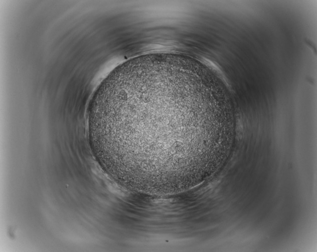 X0000102261419200808011354