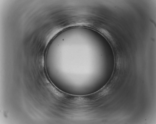 X0000102261420200808011354