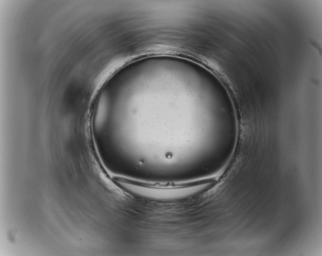 X0000102261421200808011354