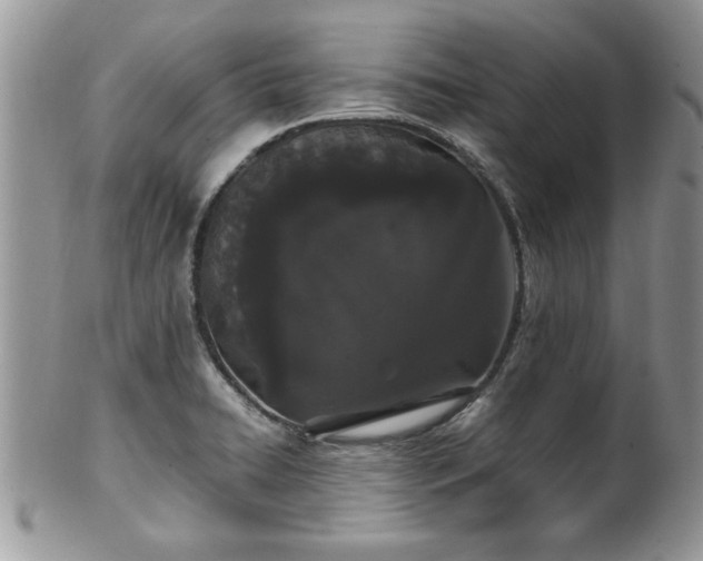 X0000102261422200808011354