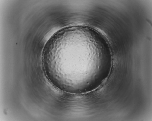 X0000102261423200808011354