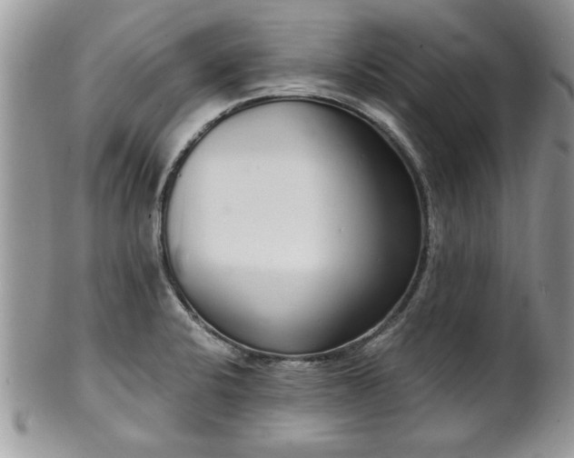 X0000102261424200808011354