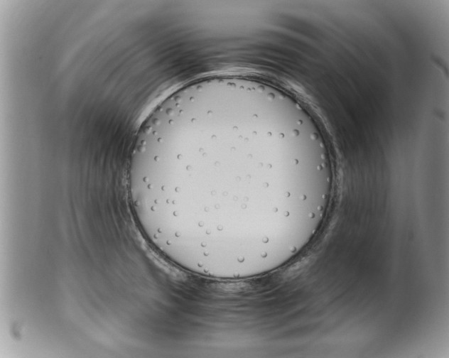 X0000102261425200808011354