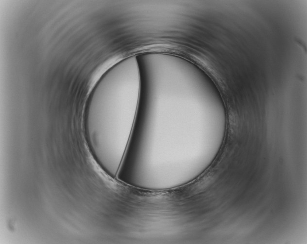 X0000102261426200808011354