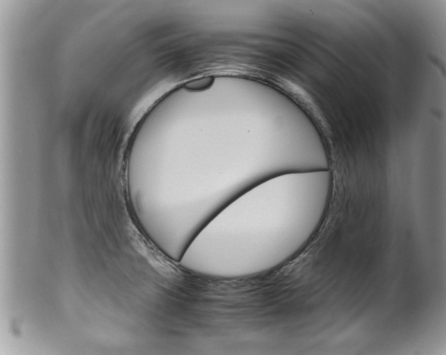 X0000102261427200808011354