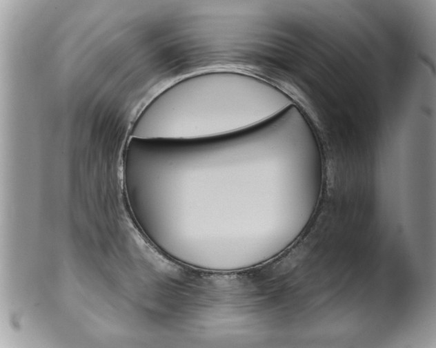 X0000102261428200808011354