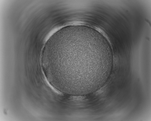 X0000102261429200808011354