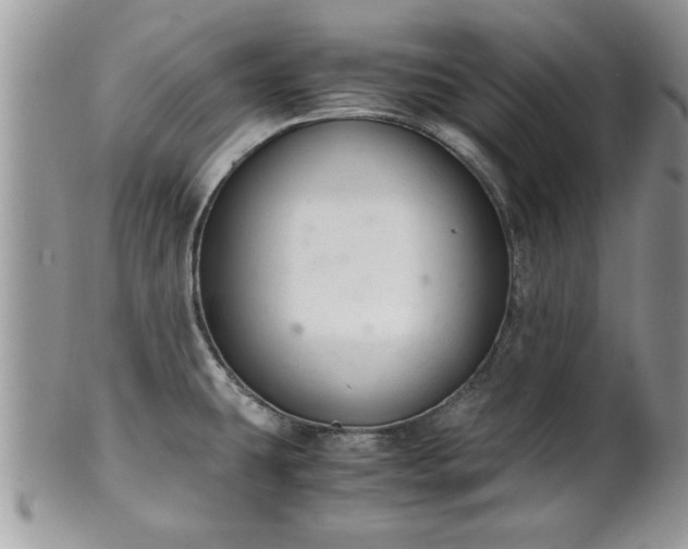 X0000102261431200808011354