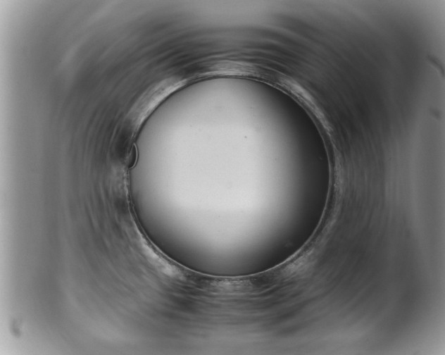 X0000102261433200808011354