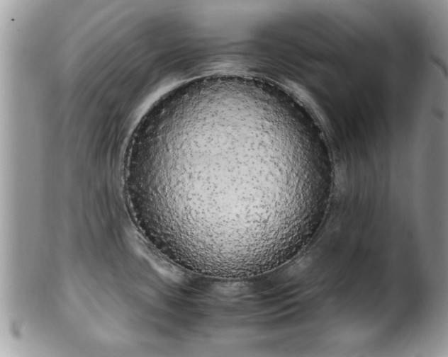 X0000102261435200808011354