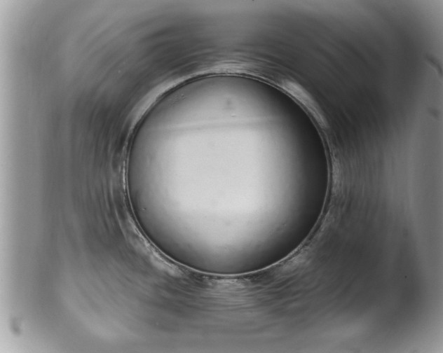 X0000102261436200808011354