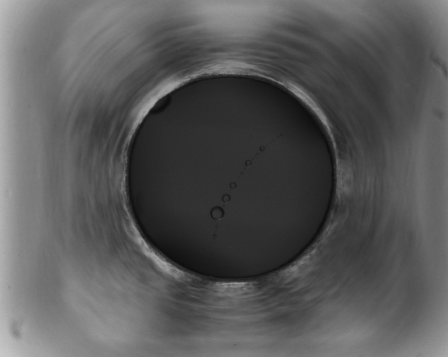 X0000102261437200808011354