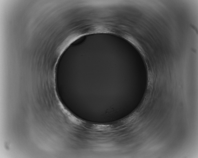 X0000102261439200808011354