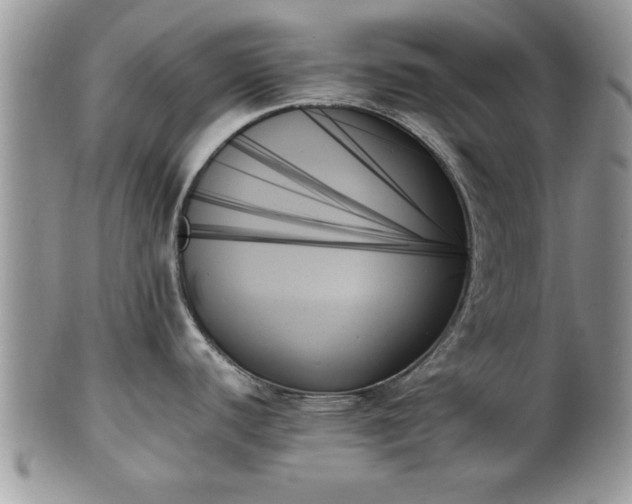 X0000102261440200808011354