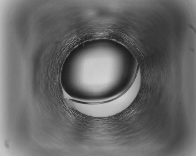 X0000102261441200808011354