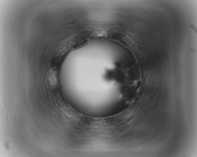 X0000102261442200808011354