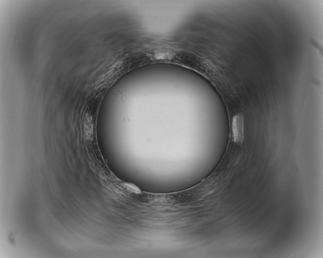 X0000102261443200808011354