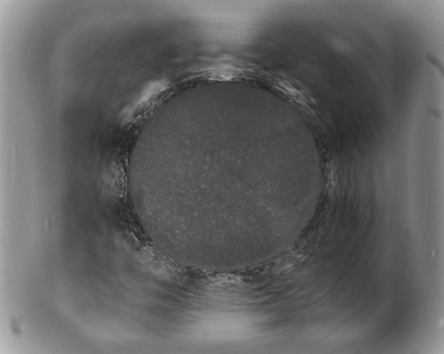 X0000102261446200808011353