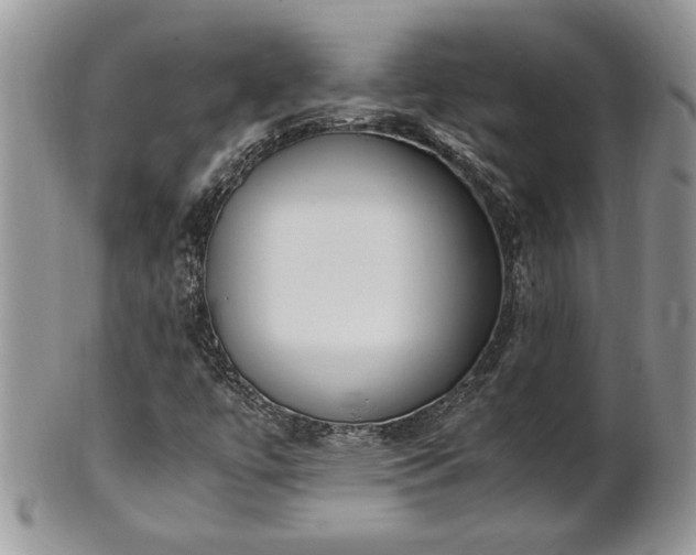 X0000102261447200808011353