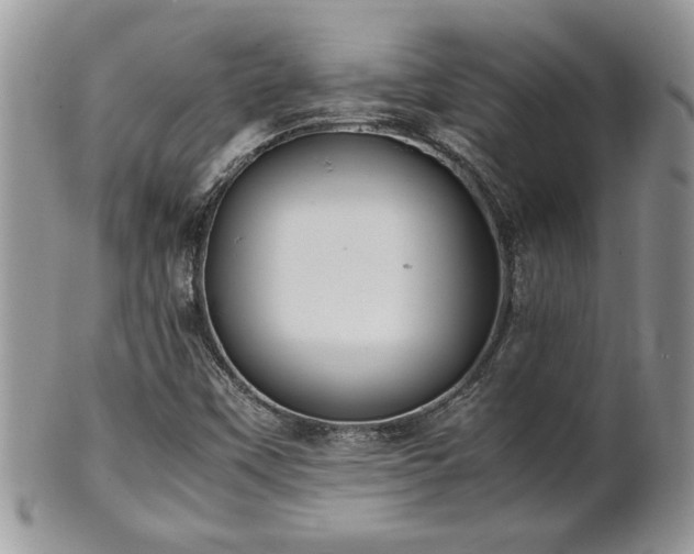 X0000102261451200808011353