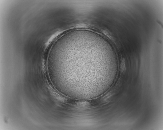 X0000102261454200808011353