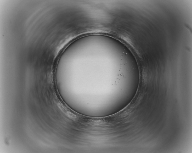 X0000102261460200808011353