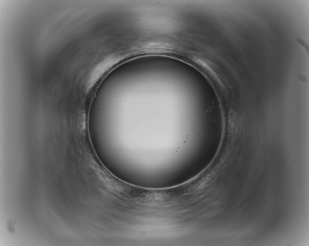 X0000102261461200808011353