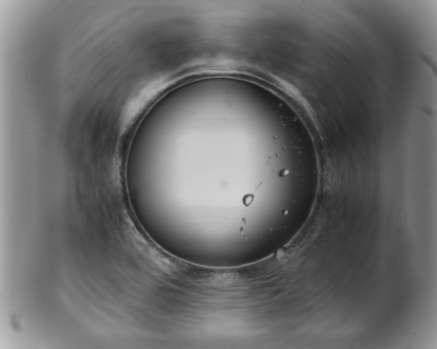 X0000102261464200808011353