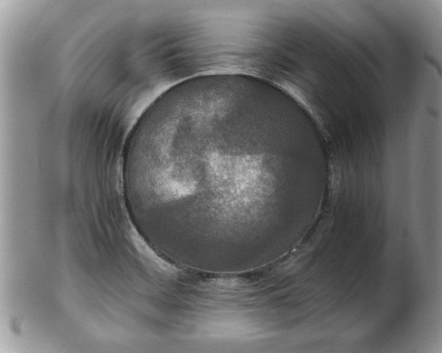 X0000102261468200808011353