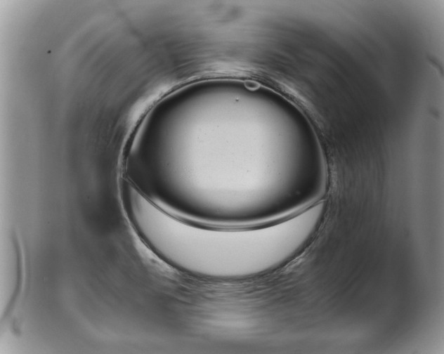 X0000102261471200808011353