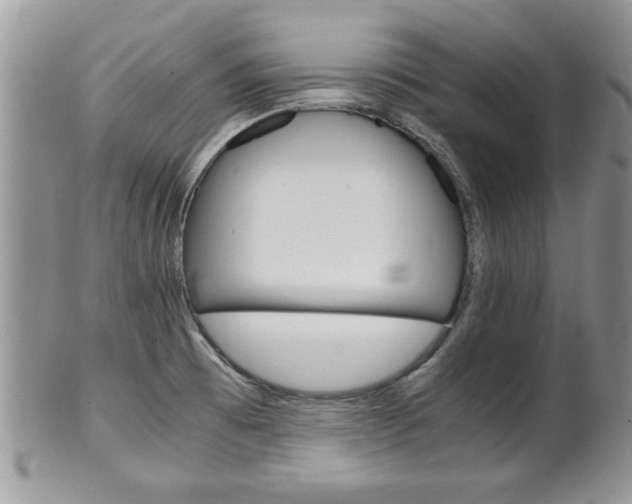 X0000102261473200808011353