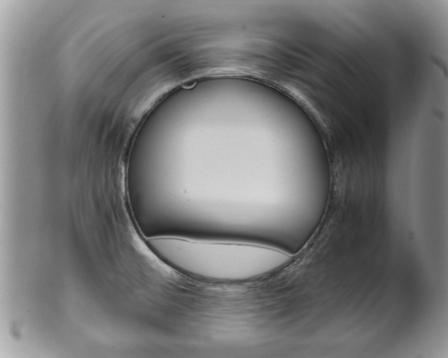 X0000102261476200808011353