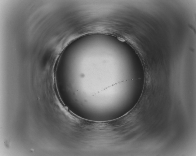 X0000102261479200808011353