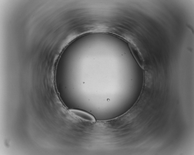 X0000102261480200808011353